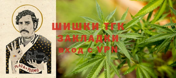 ГАЛЛЮЦИНОГЕННЫЕ ГРИБЫ Белоозёрский