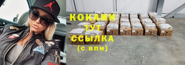 тгк Аркадак
